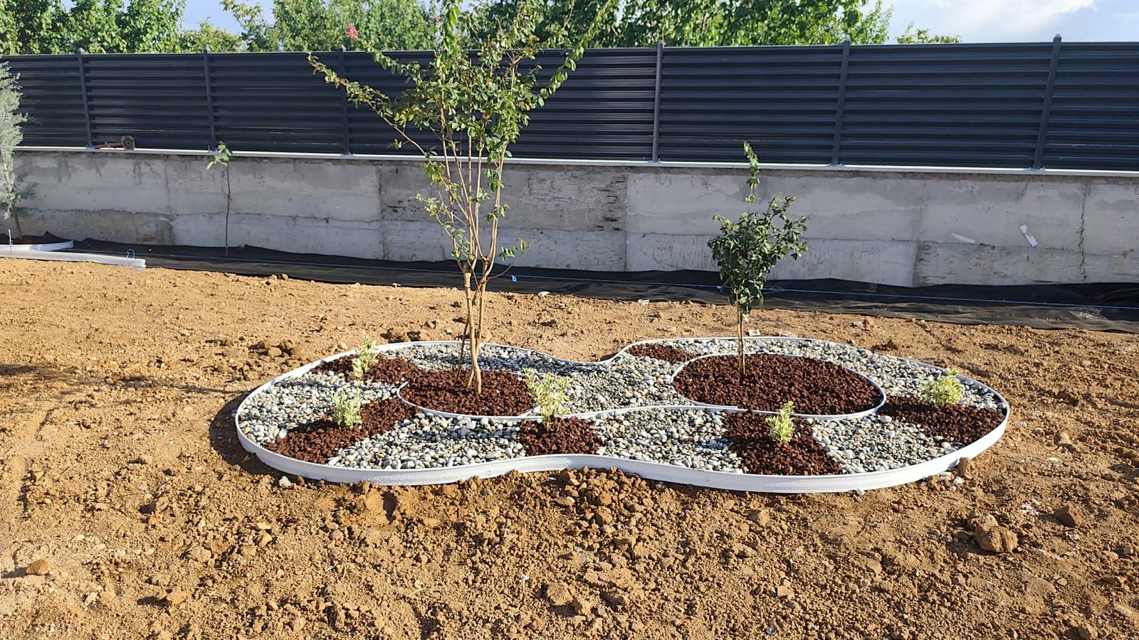 Ağaç ve bitkilerin dekoratif taşlarla çevrelendiği peyzaj adası